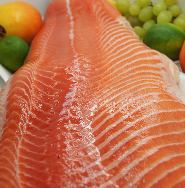 Salmon Sides Fresh A grade Tasmanian Strathpine Aussie Seafood House